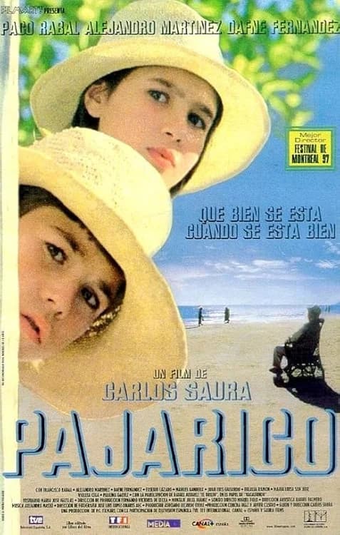 Little Bird film posteri